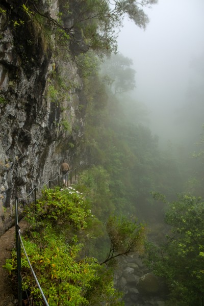 nebel auf madeira - (c) k eutebach.jpg